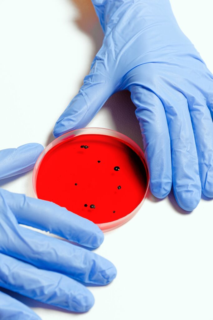 Placa petri que muestra la resistencia a los antibióticos.
